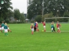 egvv_cimg1533.jpg