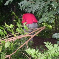 20_hekwerken_bestrating