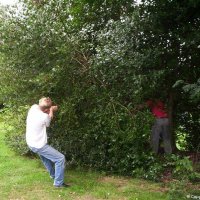 20_hekwerken_bestrating