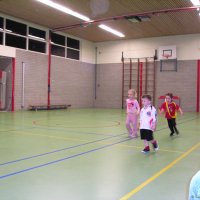 12_minipups