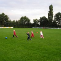 12_minipups