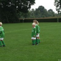 13_egvvf1_haarlof1