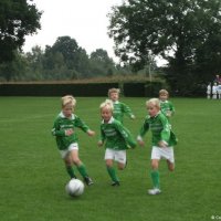13_egvvf1_haarlof1