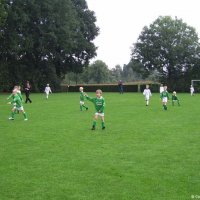 13_egvvf1_haarlof1