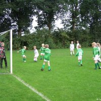 13_egvvf1_haarlof1