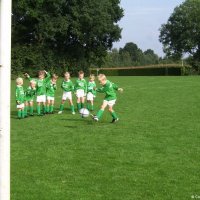 13_egvvf1_haarlof1