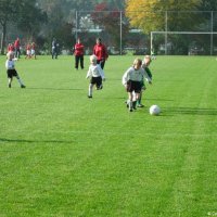 11_witkampersf5_egvvf1