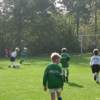 11_witkampersf5_egvvf1