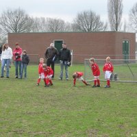 28_Minipups