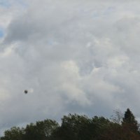 _Neede_6-EGVV_3