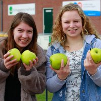 OVM_Gaanzeloop_Deel_IV